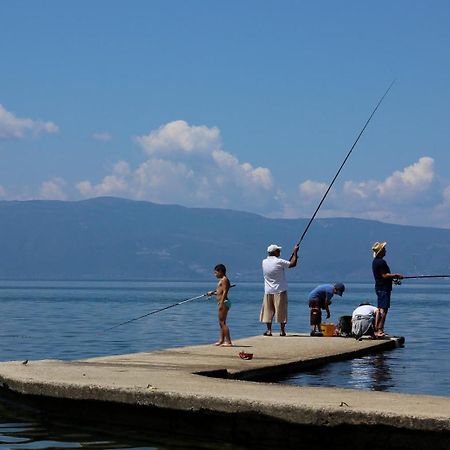 PeštaniPension Laleアパートメント エクステリア 写真